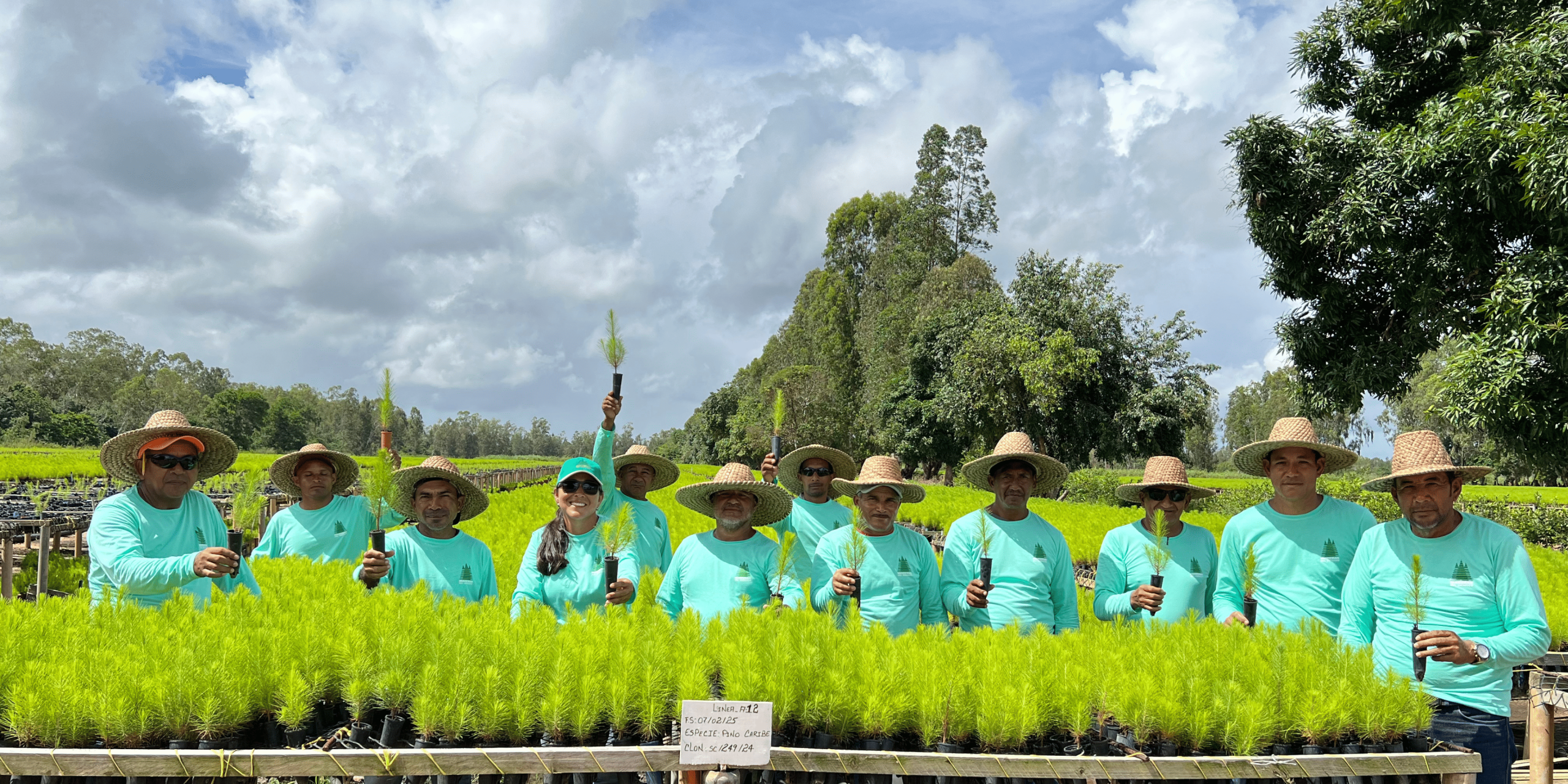 Establecimiento de plantaciones y siembra