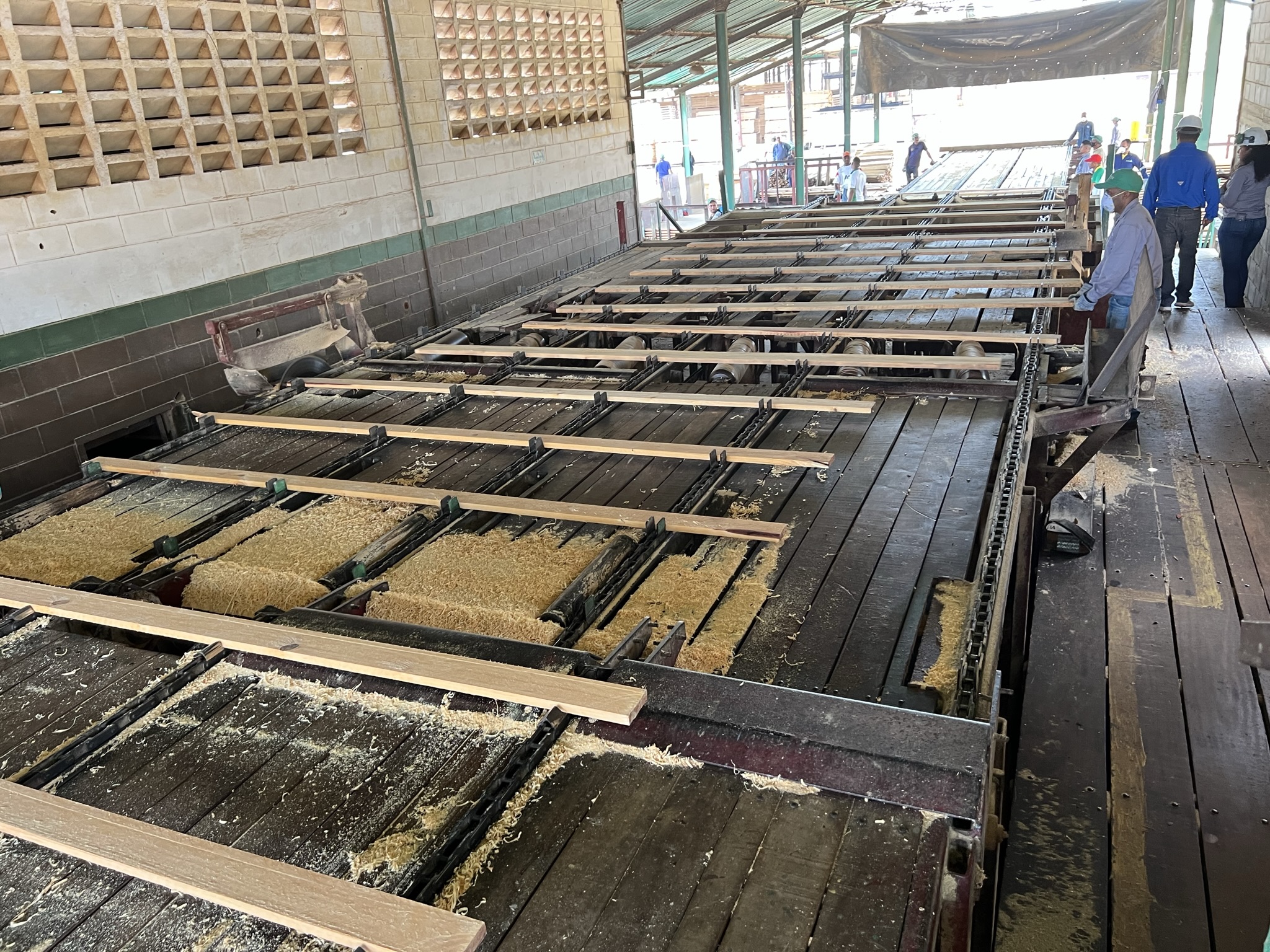 Puerto Muestras y Logística MDO