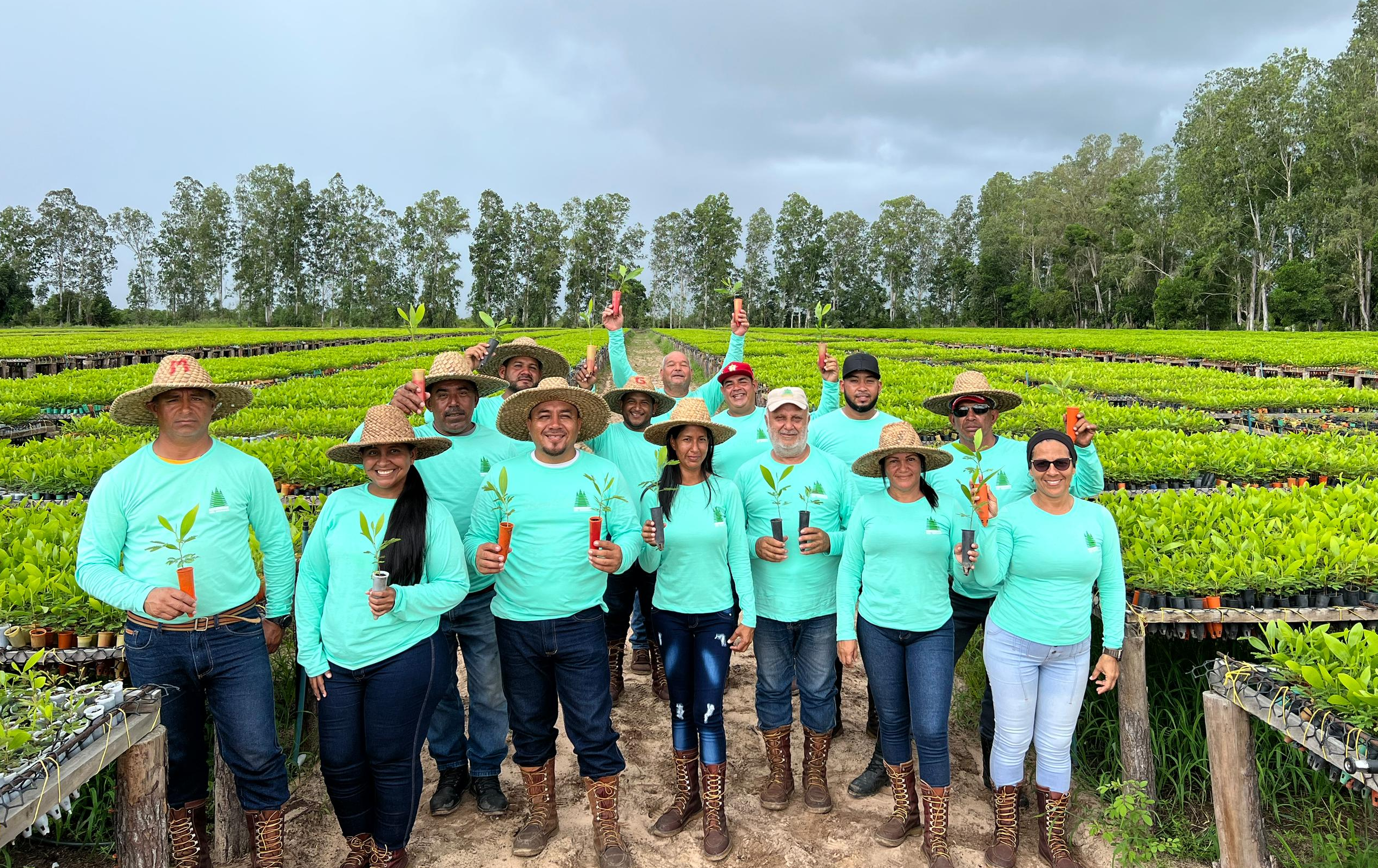 Equipo Maderas del Orinoco