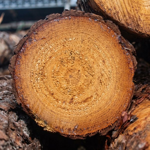 Madera en rolas